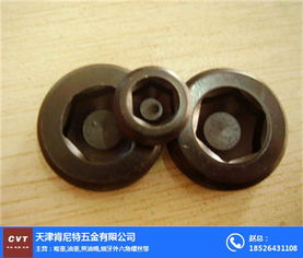 不锈钢喉塞 喉塞 天津肯尼特五金配件 查看