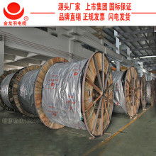  深圳市罗湖区莲塘五金交电商场 主营 五金交电 金龙羽